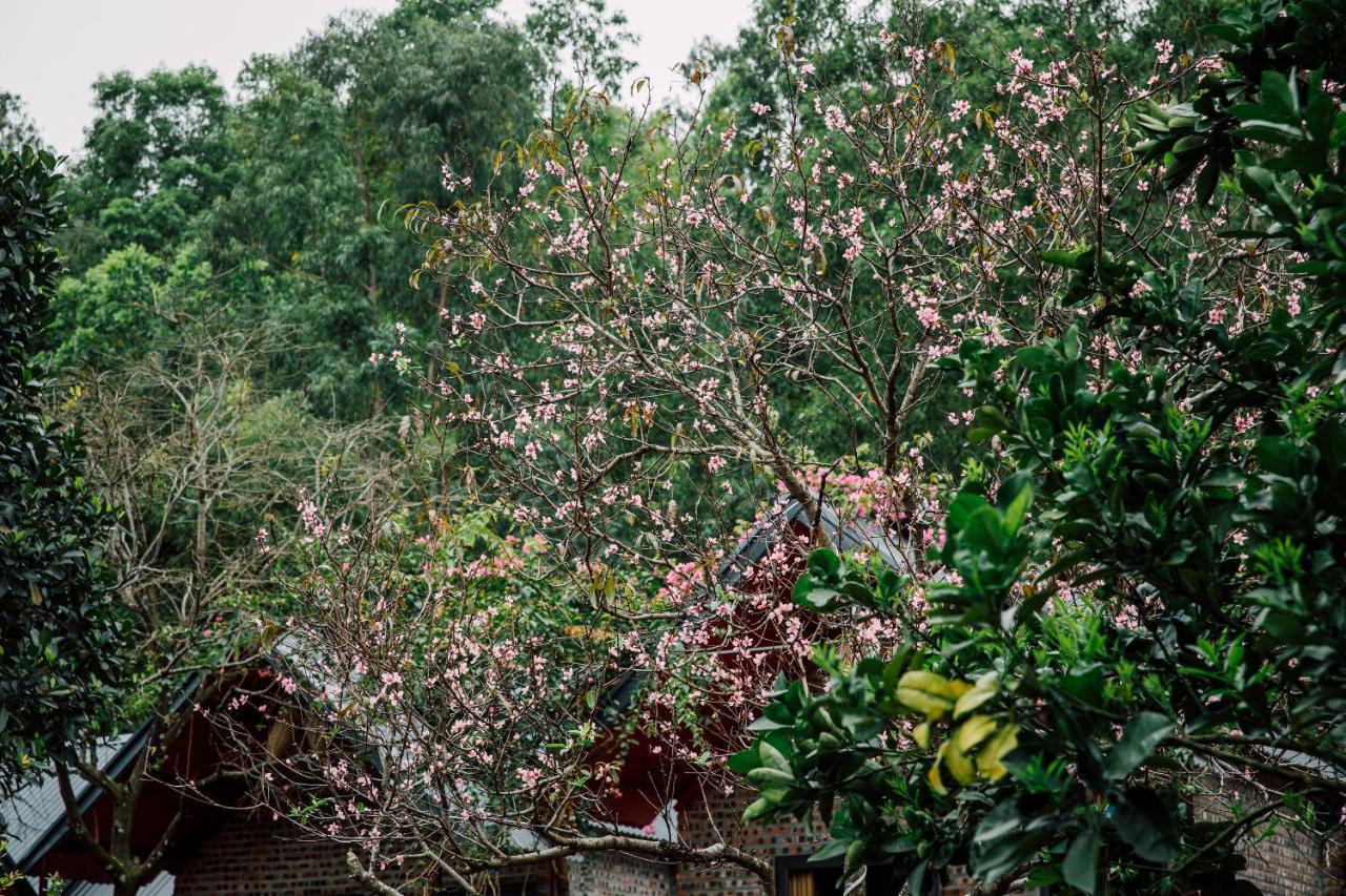 Cat Ba Spring Garden Homestay Hien Hao Bagian luar foto